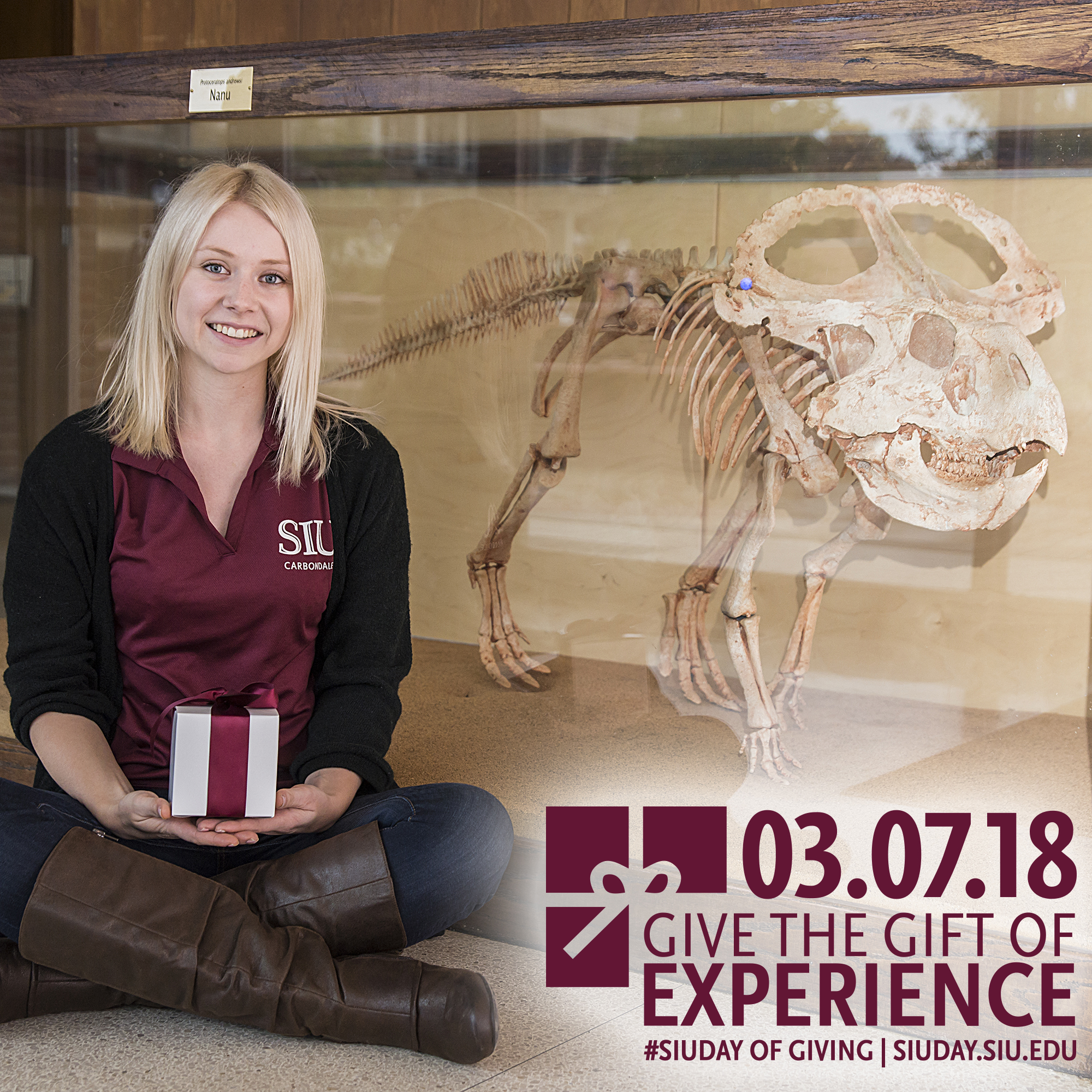 SIU Day of Giving 2018: Give the Gift of Experience – Jordan Knuth