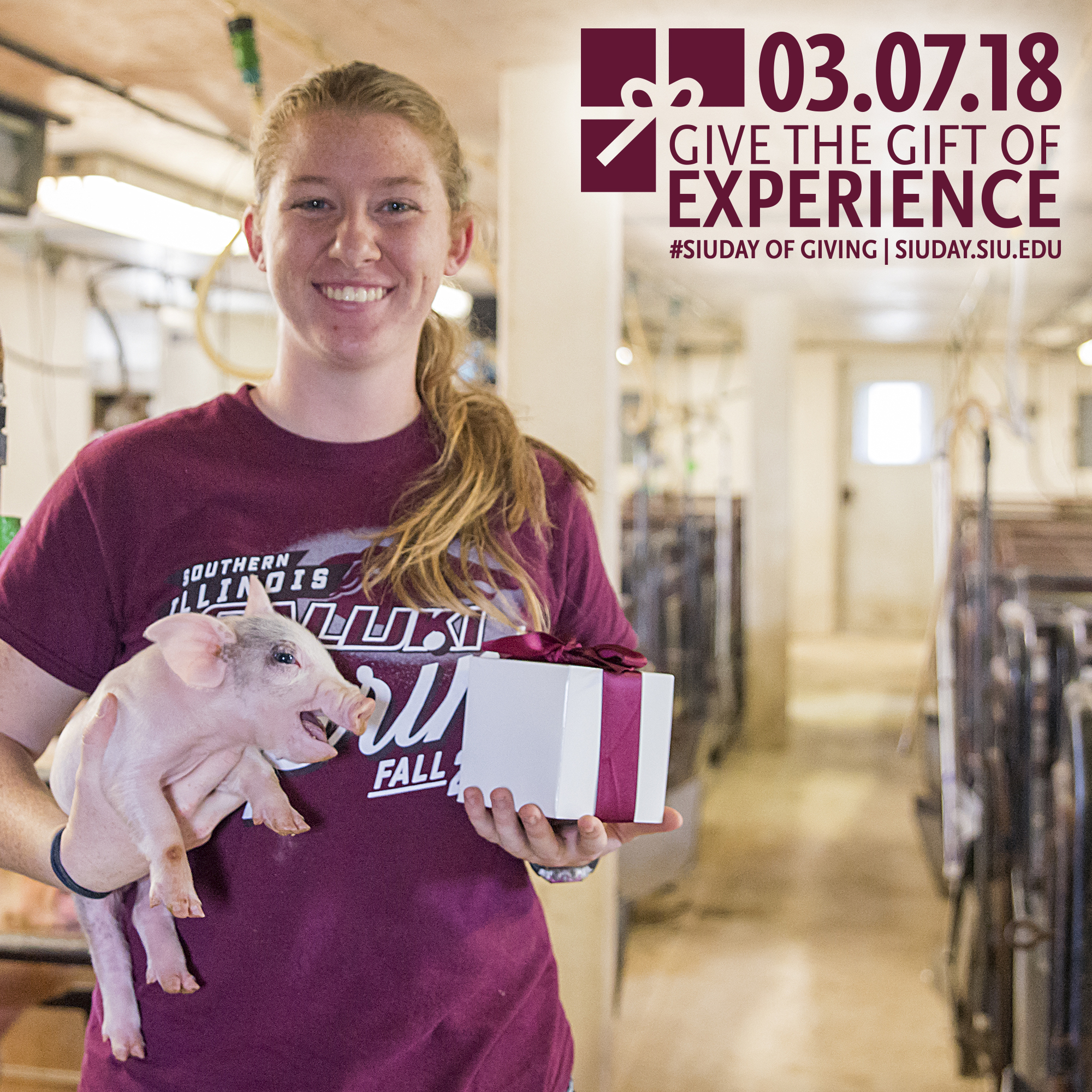 SIU Day of Giving 2018: Give the Gift of Experience – Rebecca Harris