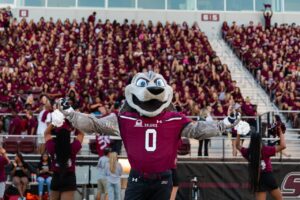 Grey Dawg at Saluki Stadium